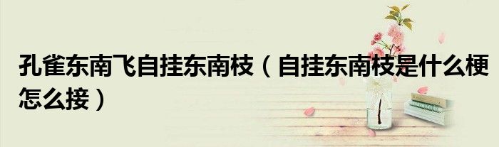 孔雀东南飞自挂东南枝(自挂东南枝是什么梗怎么接)