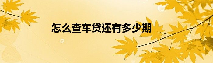 怎么查车贷还有多少期