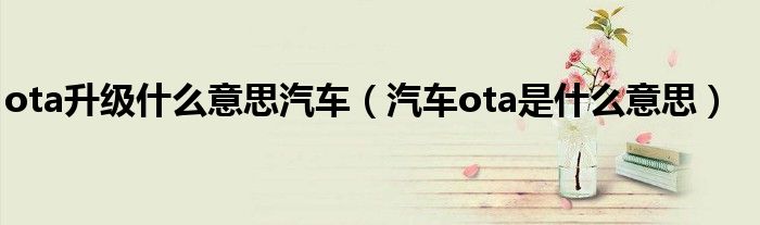 ota升级什么意思汽车（汽车ota是什么意思）