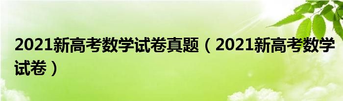 2021新高考数学试卷真题(2021新高考数学试卷)