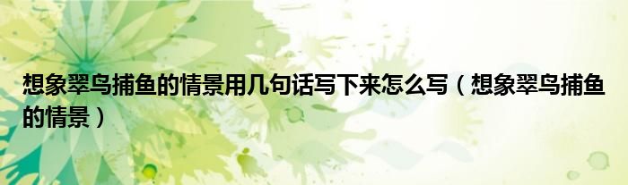想象翠鸟捕鱼的情景用几句话写下来怎么写(想象翠鸟捕鱼的情景)