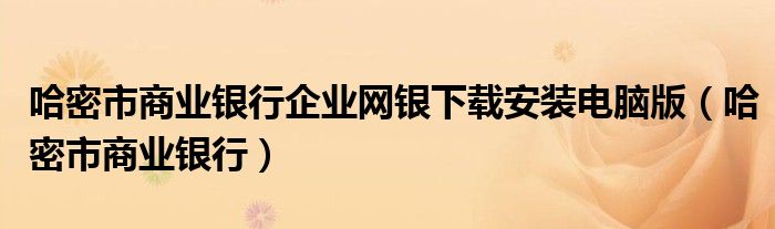哈密市商业银行企业网银下载安装电脑版(哈密市商业银行)