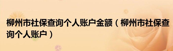 柳州市社保查询个人账户金额(柳州市社保查询个人账户)