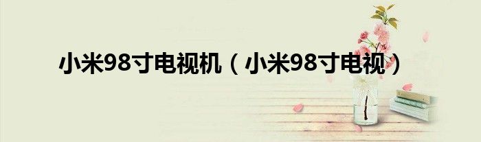 小米98寸电视机(小米98寸电视)
