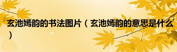 玄池嫣韵的书法图片（玄池嫣韵的意思是什么）