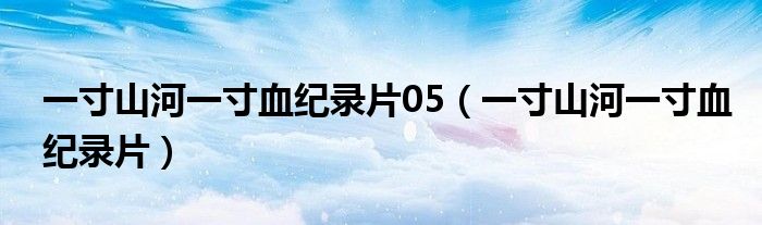 一寸山河一寸血纪录片05(一寸山河一寸血纪录片)