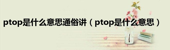 ptop是什么意思通俗讲(ptop是什么意思)