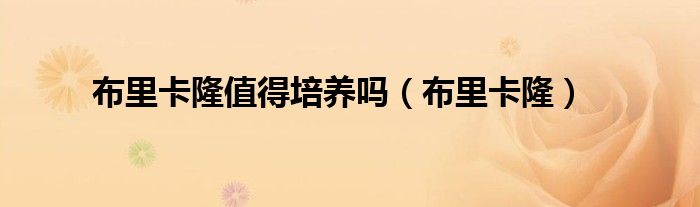 布里卡隆值得培养吗(布里卡隆)