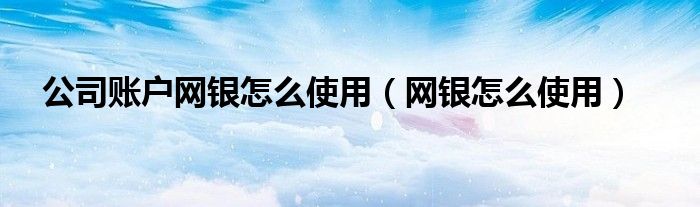 公司账户网银怎么使用(网银怎么使用)