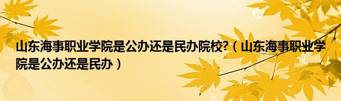 山东海事职业学院是公办还是民办院校?(山东海事职业学院是公办还是民办)
