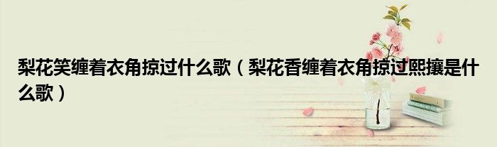 梨花笑缠着衣角掠过什么歌(梨花香缠着衣角掠过熙攘是什么歌)