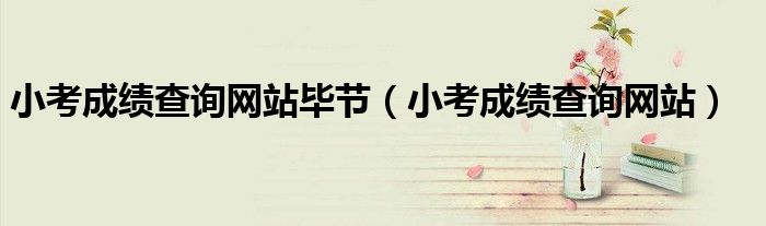 小考成绩查询网站毕节（小考成绩查询网站）