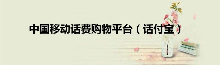 中国移动话费购物平台(话付宝)