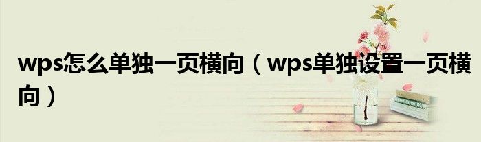 wps怎么单独一页横向（wps单独设置一页横向）