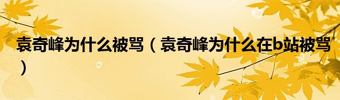 袁奇峰为什么被骂(袁奇峰为什么在b站被骂)