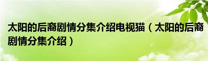 太阳的后裔剧情分集介绍电视猫(太阳的后裔剧情分集介绍)