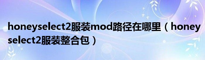 honeyselect2服装mod路径在哪里（honeyselect2服装整合包）