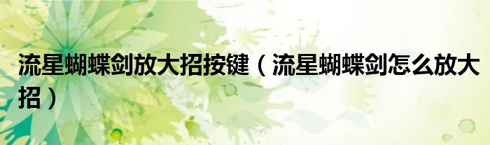 流星蝴蝶剑放大招按键(流星蝴蝶剑怎么放大招)