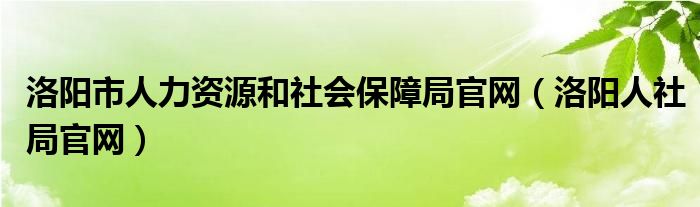 洛阳市人力资源和社会保障局官网(洛阳人社局官网)