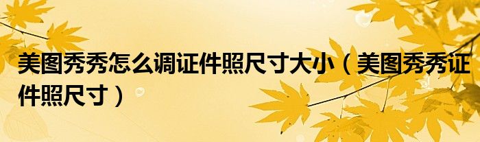 美图秀秀怎么调证件照尺寸大小(美图秀秀证件照尺寸)