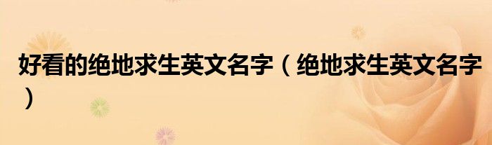 好看的绝地求生英文名字(绝地求生英文名字)