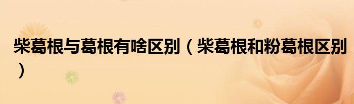 柴葛根与葛根有啥区别(柴葛根和粉葛根区别)