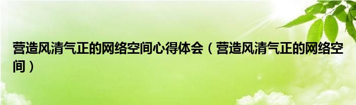 营造风清气正的网络空间心得体会(营造风清气正的网络空间)