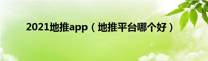2021地推app(地推平台哪个好)