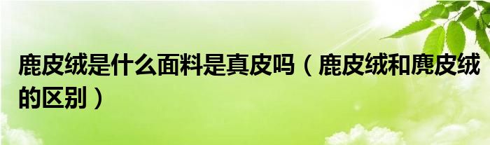 鹿皮绒是什么面料是真皮吗(鹿皮绒和麂皮绒的区别)