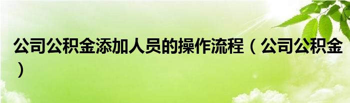 公司公积金添加人员的操作流程(公司公积金)