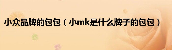 小众品牌的包包(小mk是什么牌子的包包)