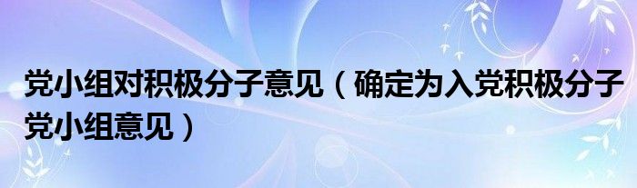党小组对积极分子意见(确定为入党积极分子党小组意见)