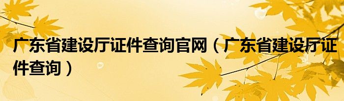广东省建设厅证件查询官网(广东省建设厅证件查询)