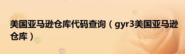 美国亚马逊仓库代码查询(gyr3美国亚马逊仓库)