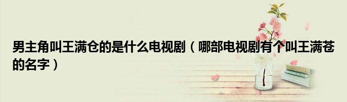 男主角叫王满仓的是什么电视剧(哪部电视剧有个叫王满苍的名字)