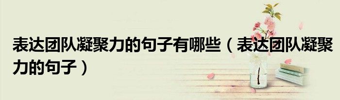 表达团队凝聚力的句子有哪些(表达团队凝聚力的句子)