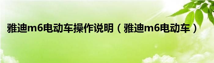 雅迪m6电动车操作说明(雅迪m6电动车)