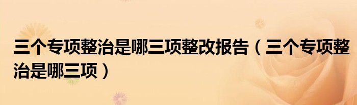 三个专项整治是哪三项整改报告(三个专项整治是哪三项)