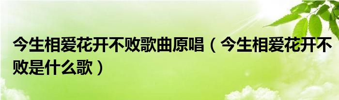 今生相爱花开不败歌曲原唱(今生相爱花开不败是什么歌)
