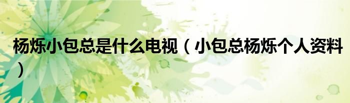 杨烁小包总是什么电视(小包总杨烁个人资料)