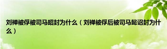 刘禅被俘被司马昭封为什么(刘禅被俘后被司马懿诏封为什么)
