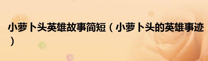 小萝卜头英雄故事简短(小萝卜头的英雄事迹)