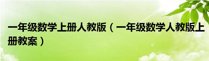 一年级数学上册人教版(一年级数学人教版上册教案)