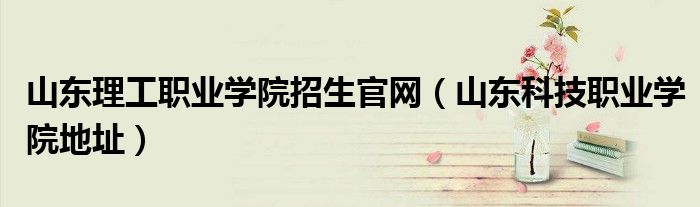 山东理工职业学院招生官网(山东科技职业学院地址)