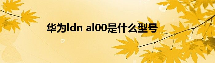 华为ldn al00是什么型号