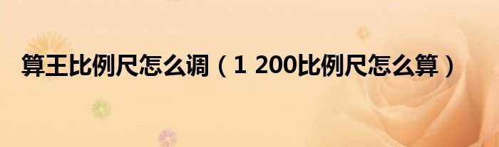 算王比例尺怎么调(1 200比例尺怎么算)