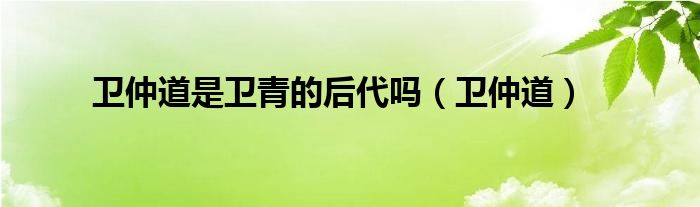 卫仲道是卫青的后代吗(卫仲道)