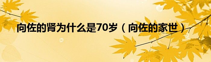 向佐的肾为什么是70岁(向佐的家世)