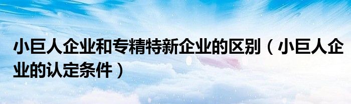 小巨人企业和专精特新企业的区别(小巨人企业的认定条件)