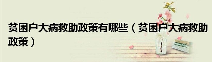 贫困户大病救助政策有哪些(贫困户大病救助政策)